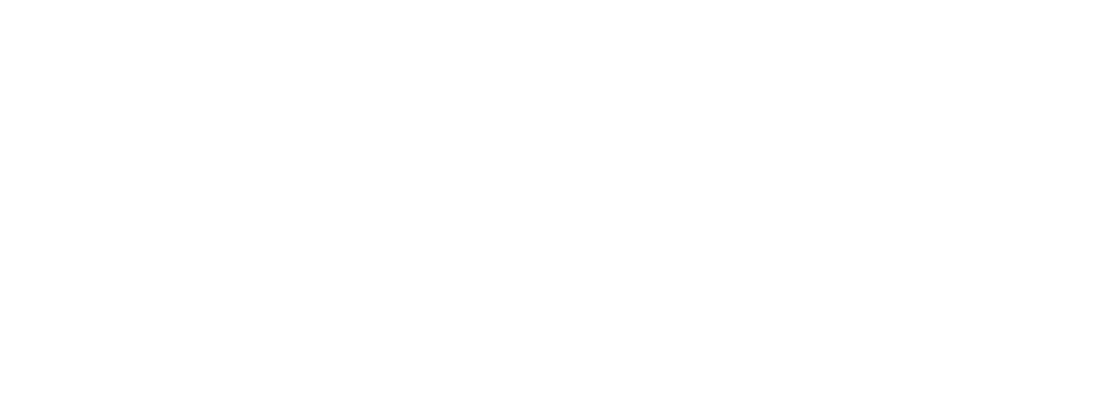 Webflow logo